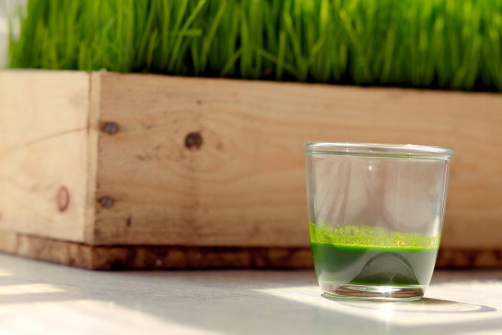 jus herbe ble bienfaits (5)