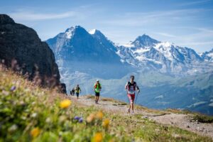 taux abandon utmb (5)