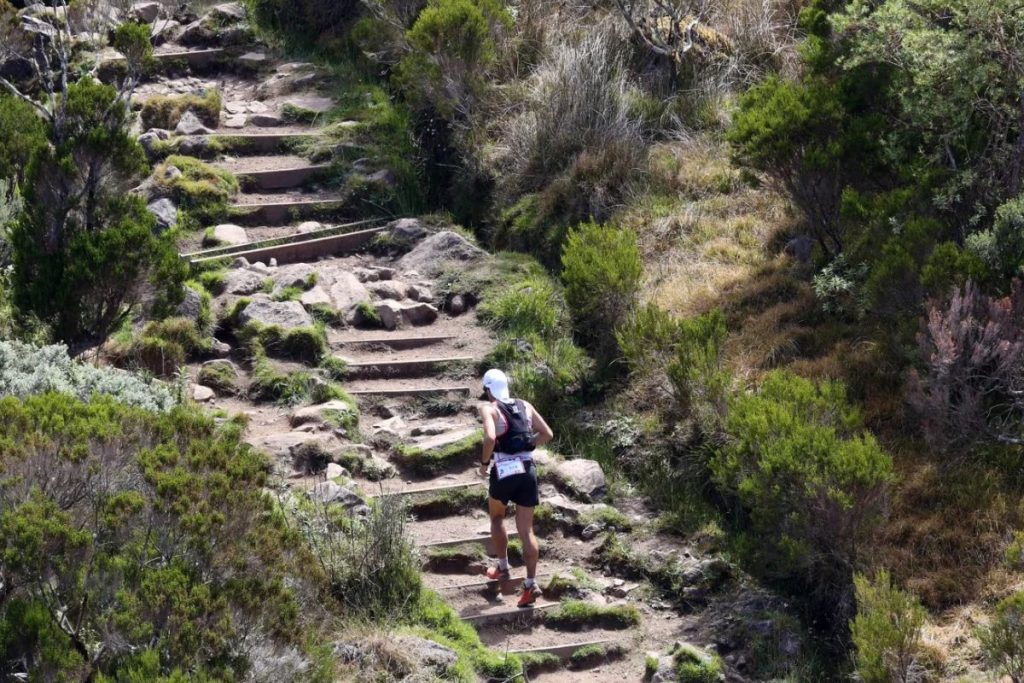 barriere horaire diagonale des fous (1)