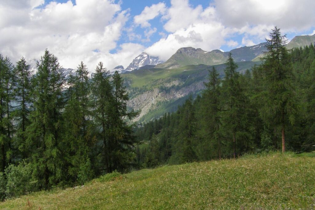 live tor des geants 2025 (3)