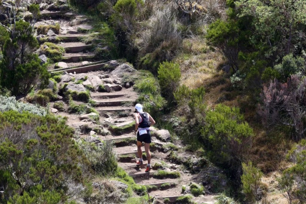 taux abandon moyen diagonale des fous (1)