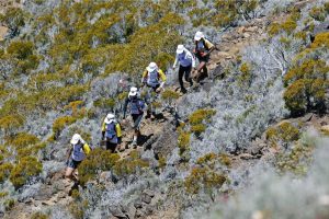 taux abandon moyen diagonale des fous (4)
