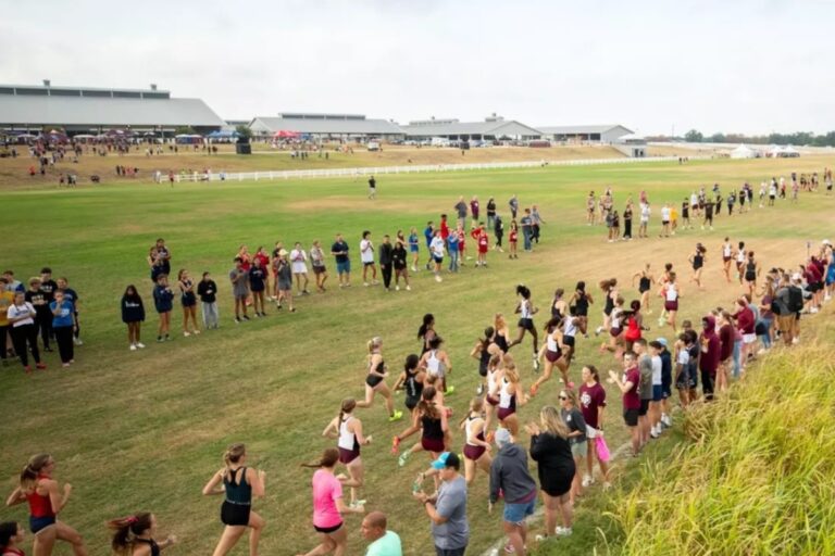 Cross d&rsquo;Allonnes 2025 : Suivi coureur et Résultats