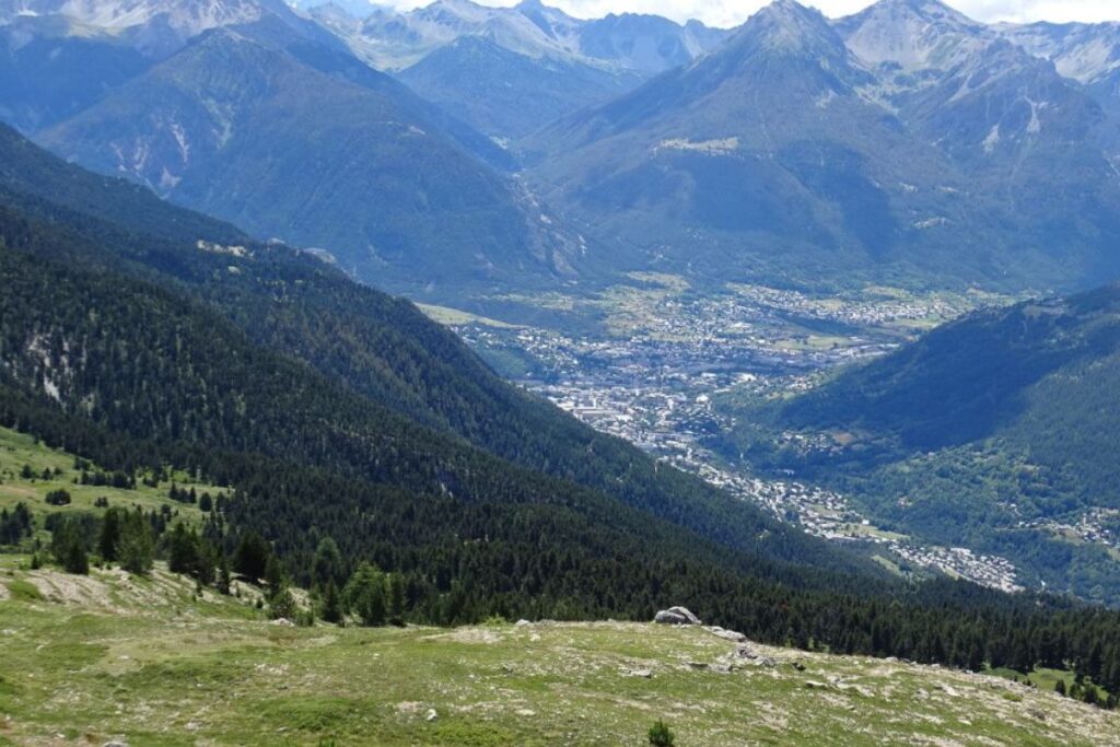 course en montagne 2026 (1)