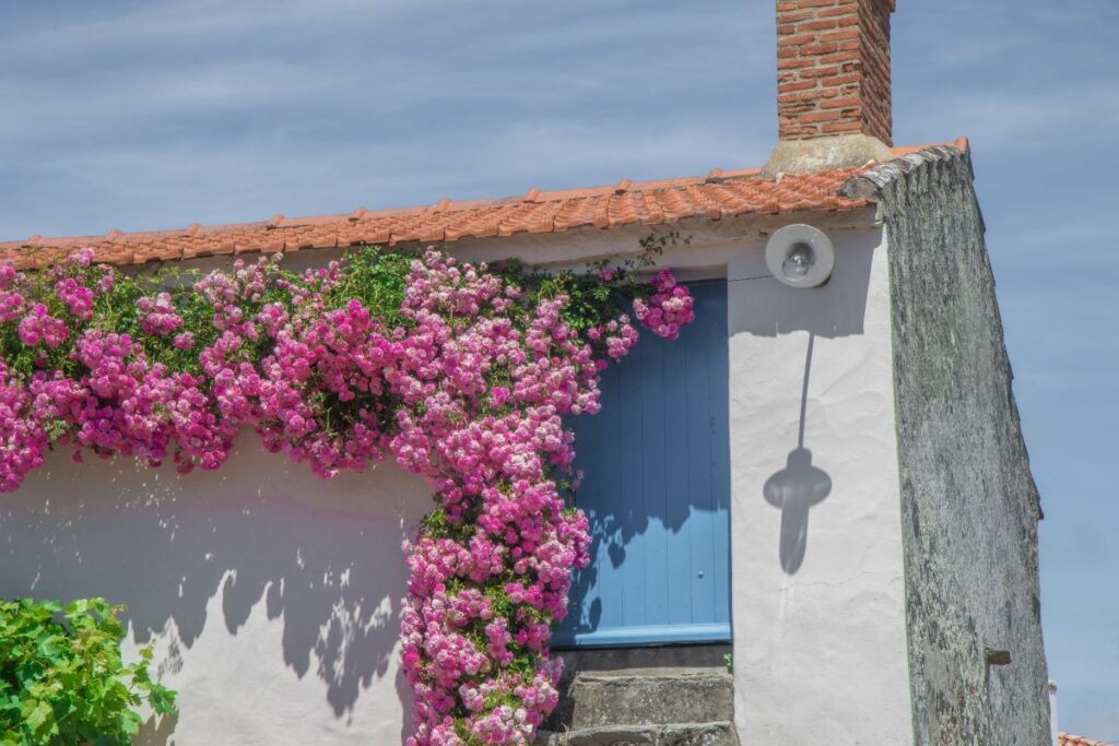 semi marathon vendee 2026 (1)