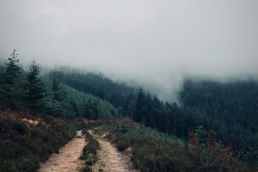 trail nord pas de calais (2)