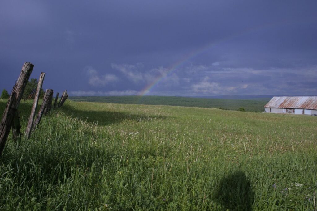 courir sous lorage (2)