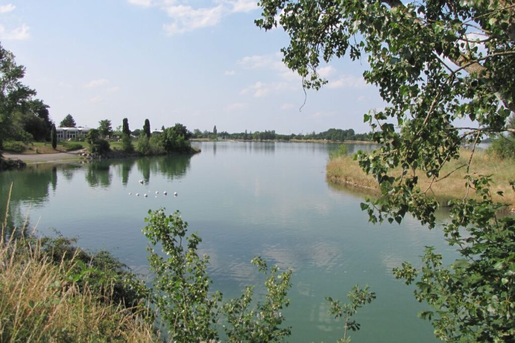 ou courir toulouse (6)