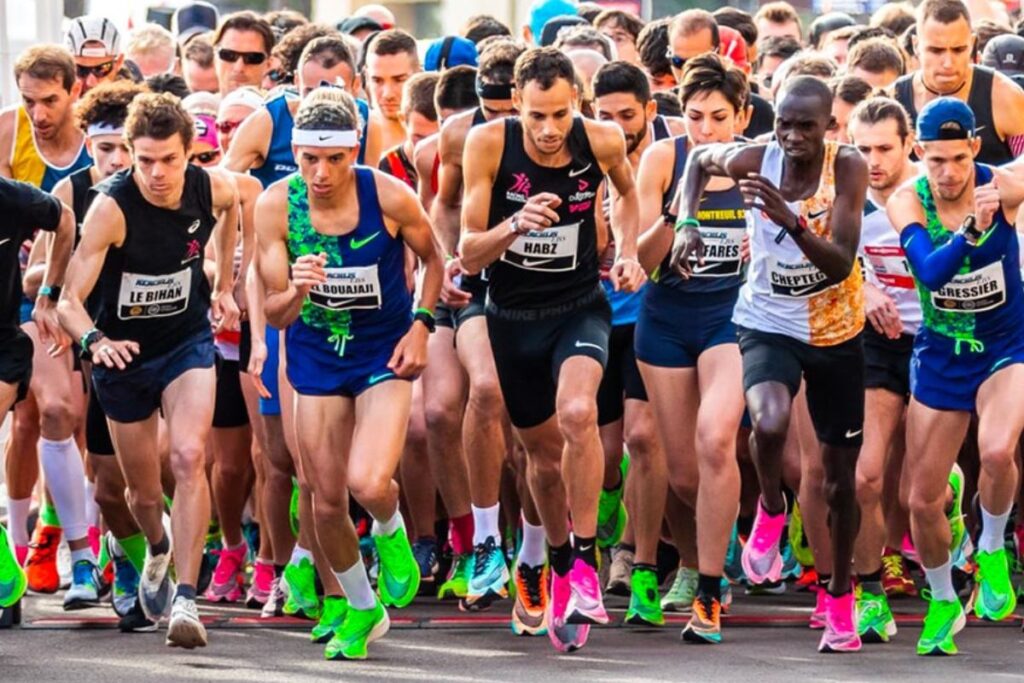 monaco run direct (1)