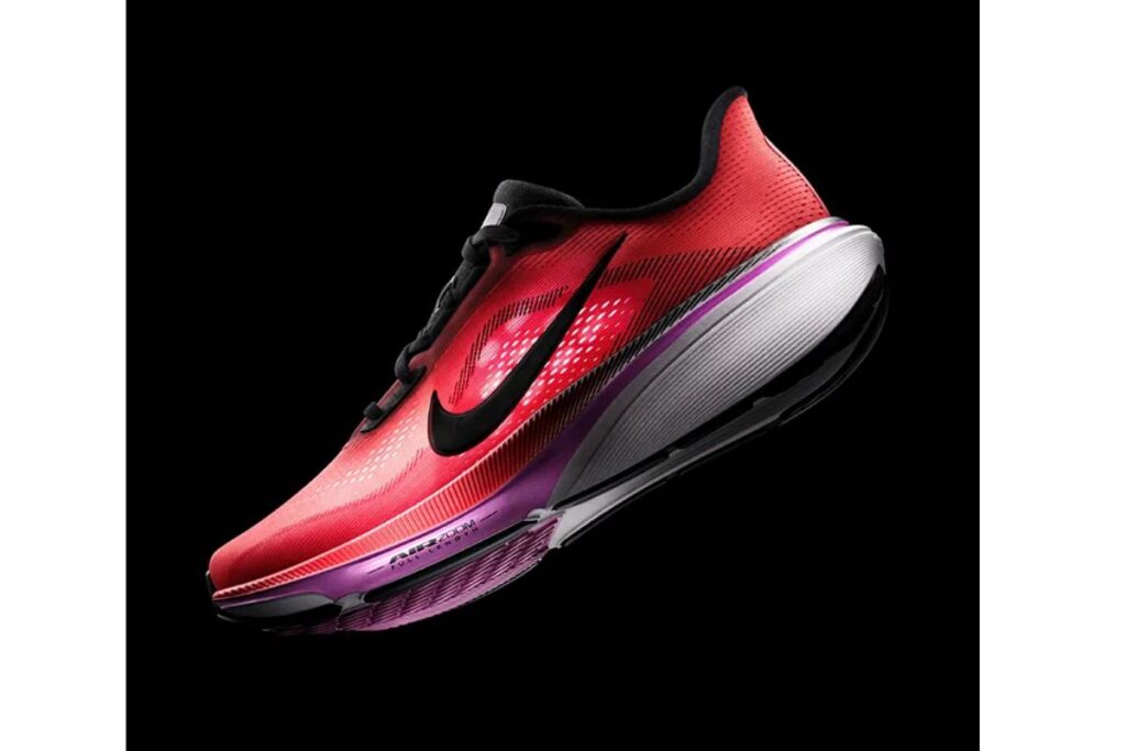 nike pegasus 42 avis (2)