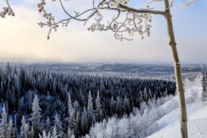 yukon arctic ultra live (1)