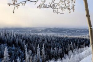 yukon arctic ultra live (5)