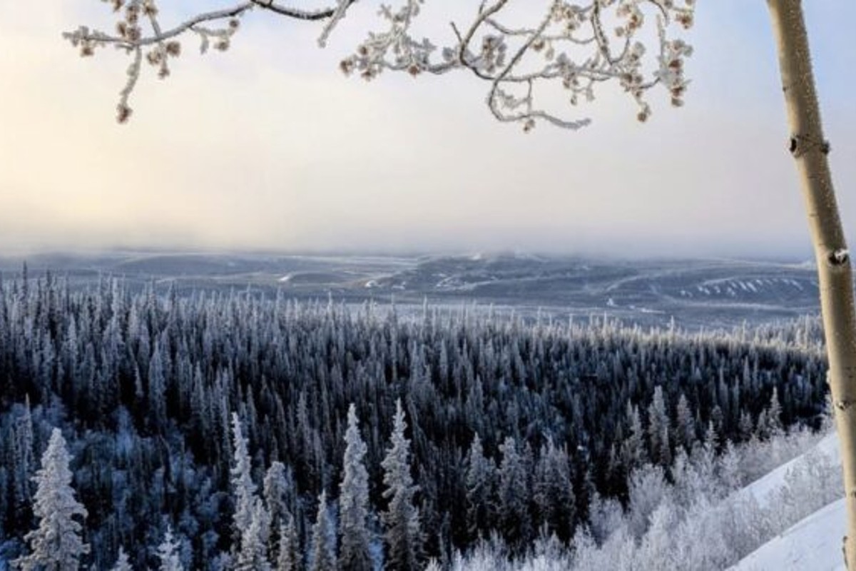 yukon arctic ultra live (5)