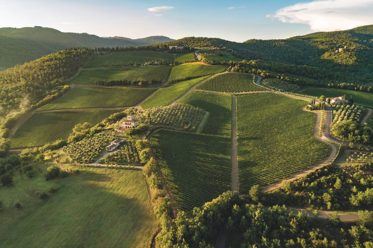 chianti trail live trail live