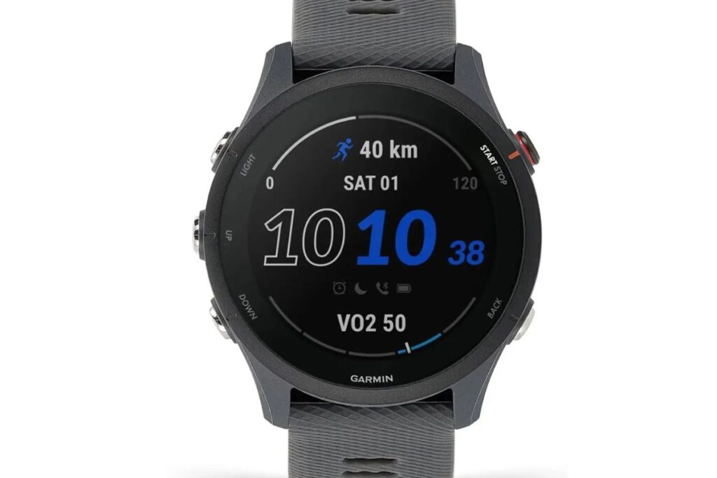 garmin 255 cartographie (2)