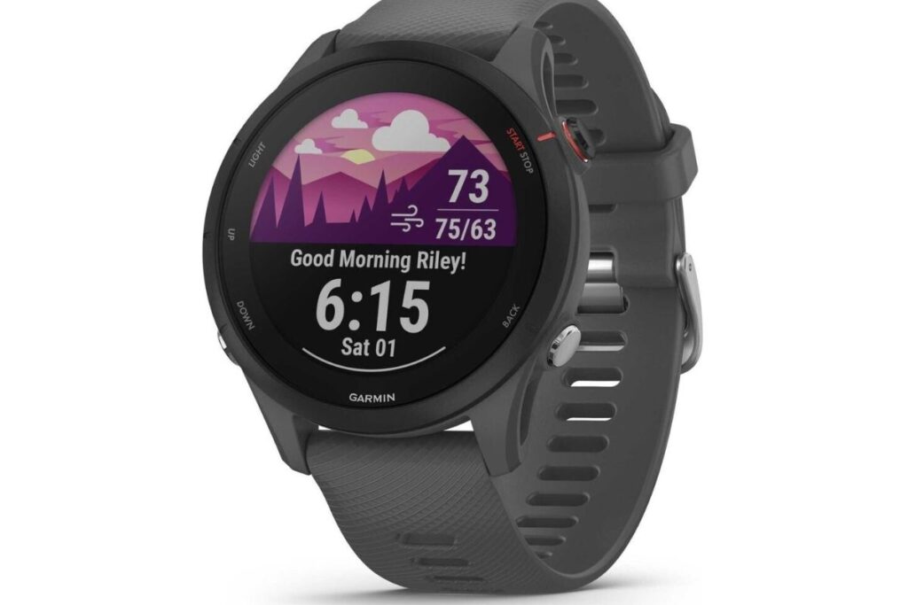 garmin 255 cartographie (3)