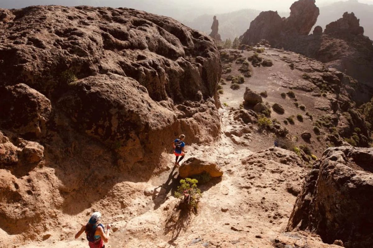 transgrancanaria 2026 direct (1)