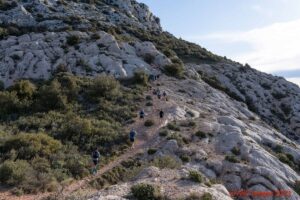 live trail sainte victoire (2)