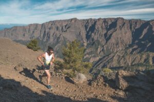 favoris transvulcania 2026 (2)