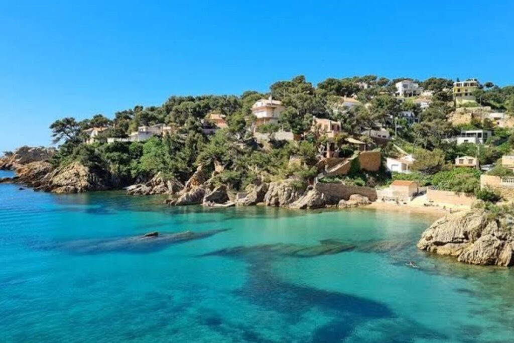 canicule baignade (2)