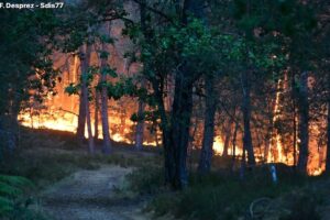 incendie fontainebleau