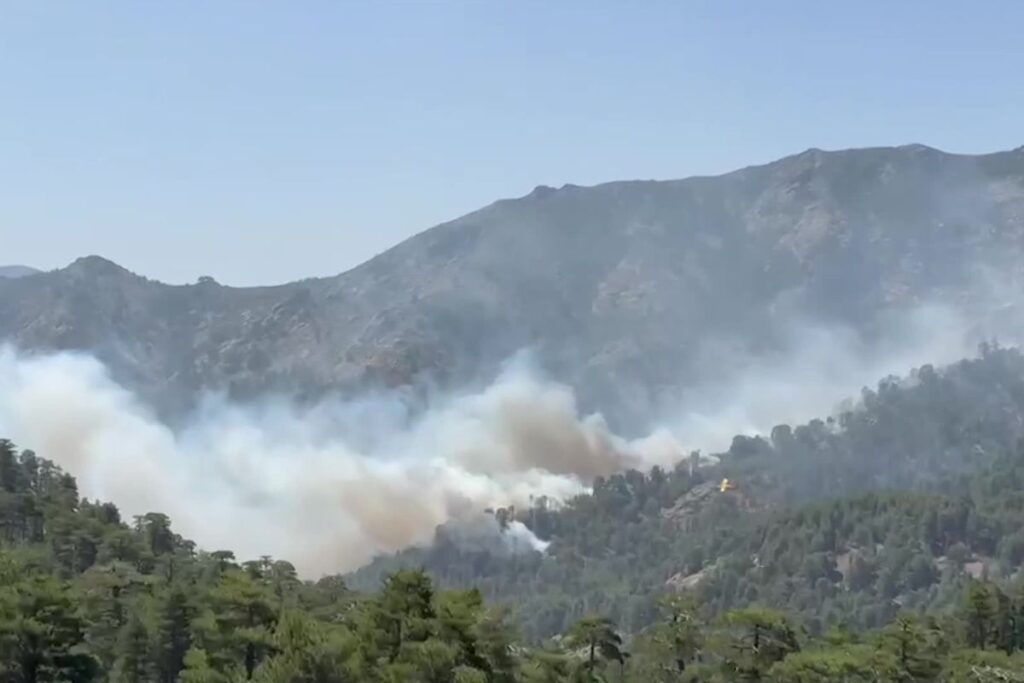 incendie gr20