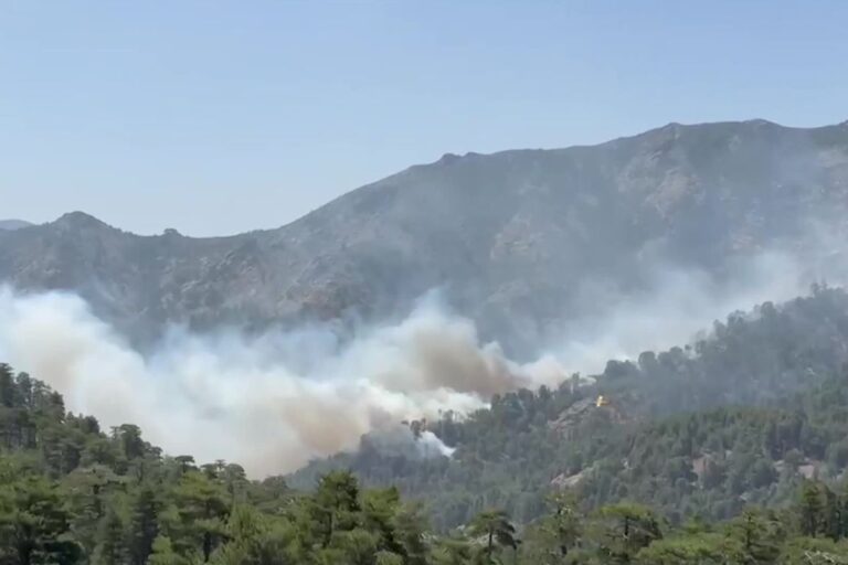 Incendie sur le GR20 : Albertacce sous les flammes et ça ne s'arrête pas