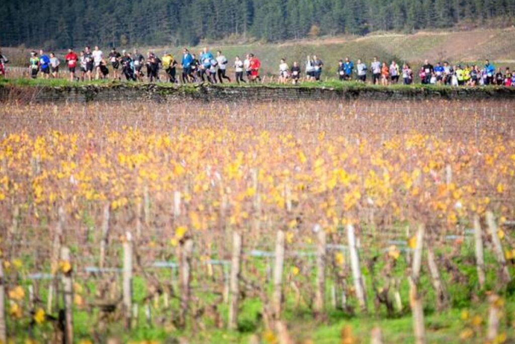 semi marathon vente des vins beaune (1)
