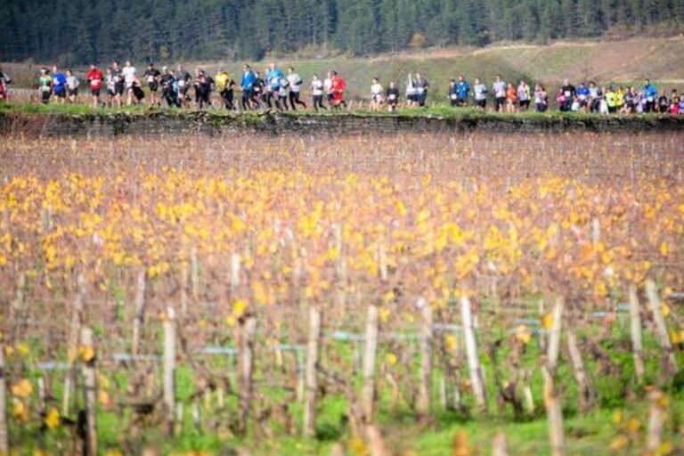 Semi-marathon de la vente des Vins de Beaune 2026 : Inscriptions ouvertes et comment s'inscrire ?