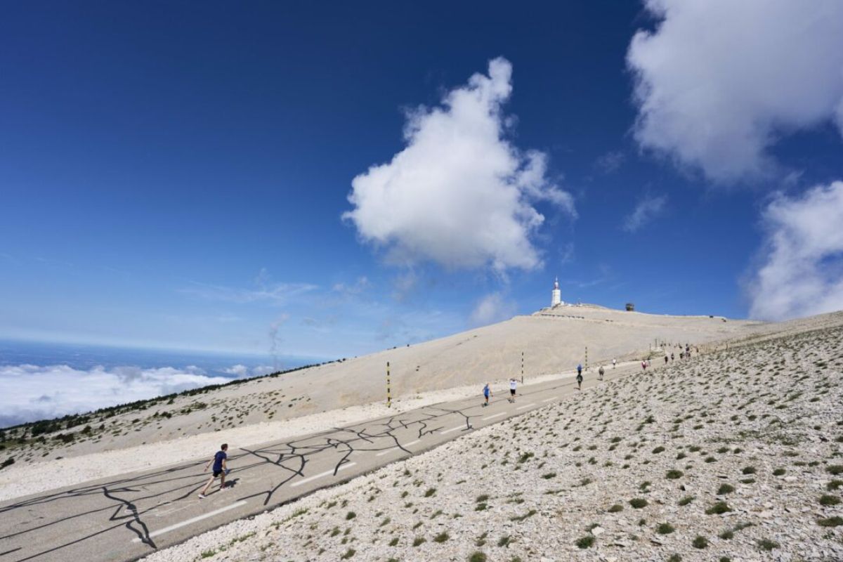 semi marathon ventoux 2026 live (2)