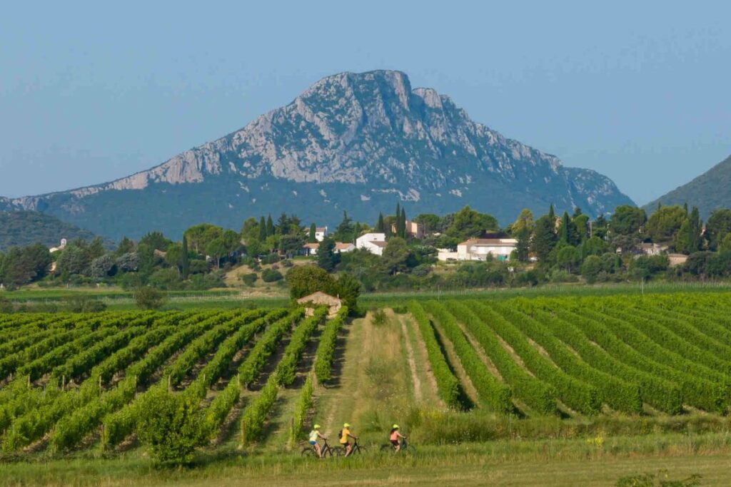 disparition pic saint loup (1)