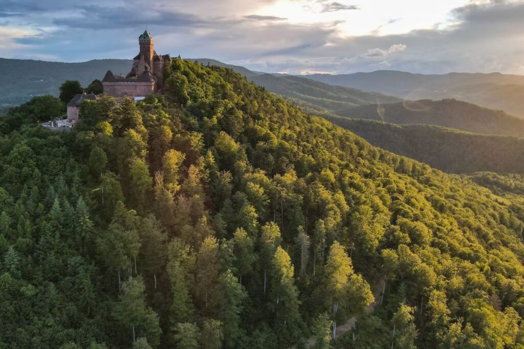 inscription trail alsace by utmb (3)