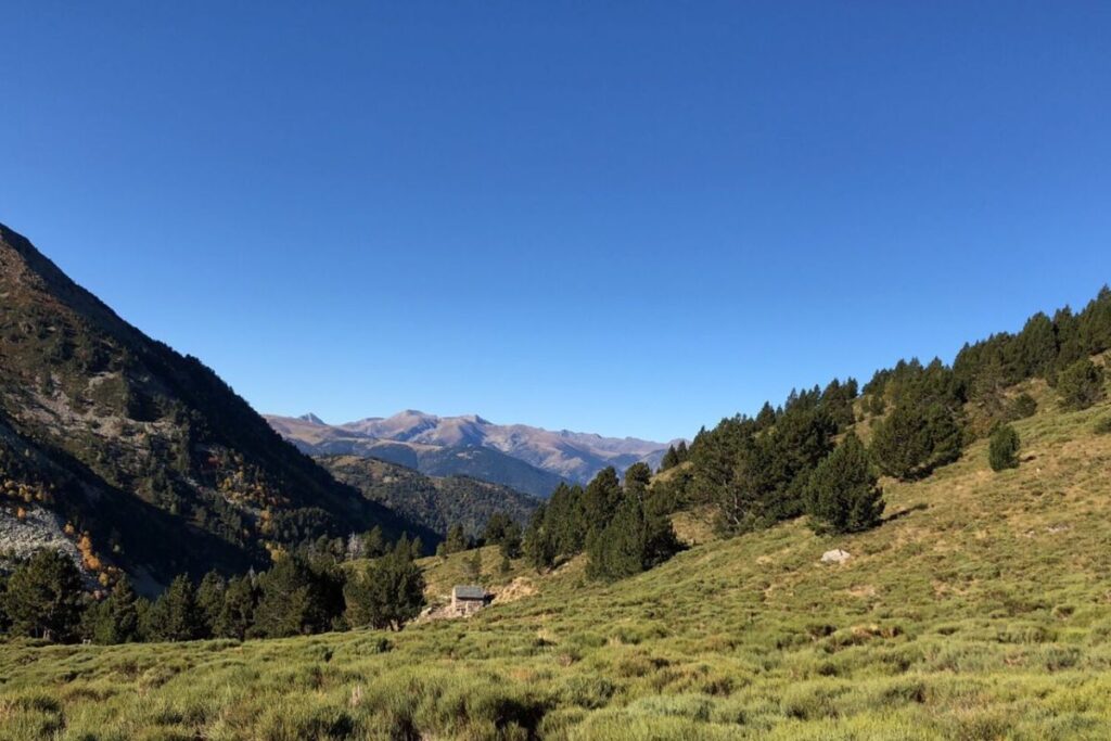trail canigou 2026 live (1)