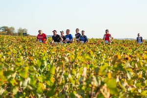 marathon grand cru 2026 live (3)
