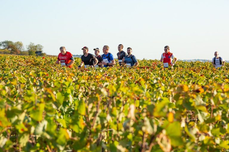 Marathon des Grands Crus 2026 Dijon : Suivi coureur officiel en direct live