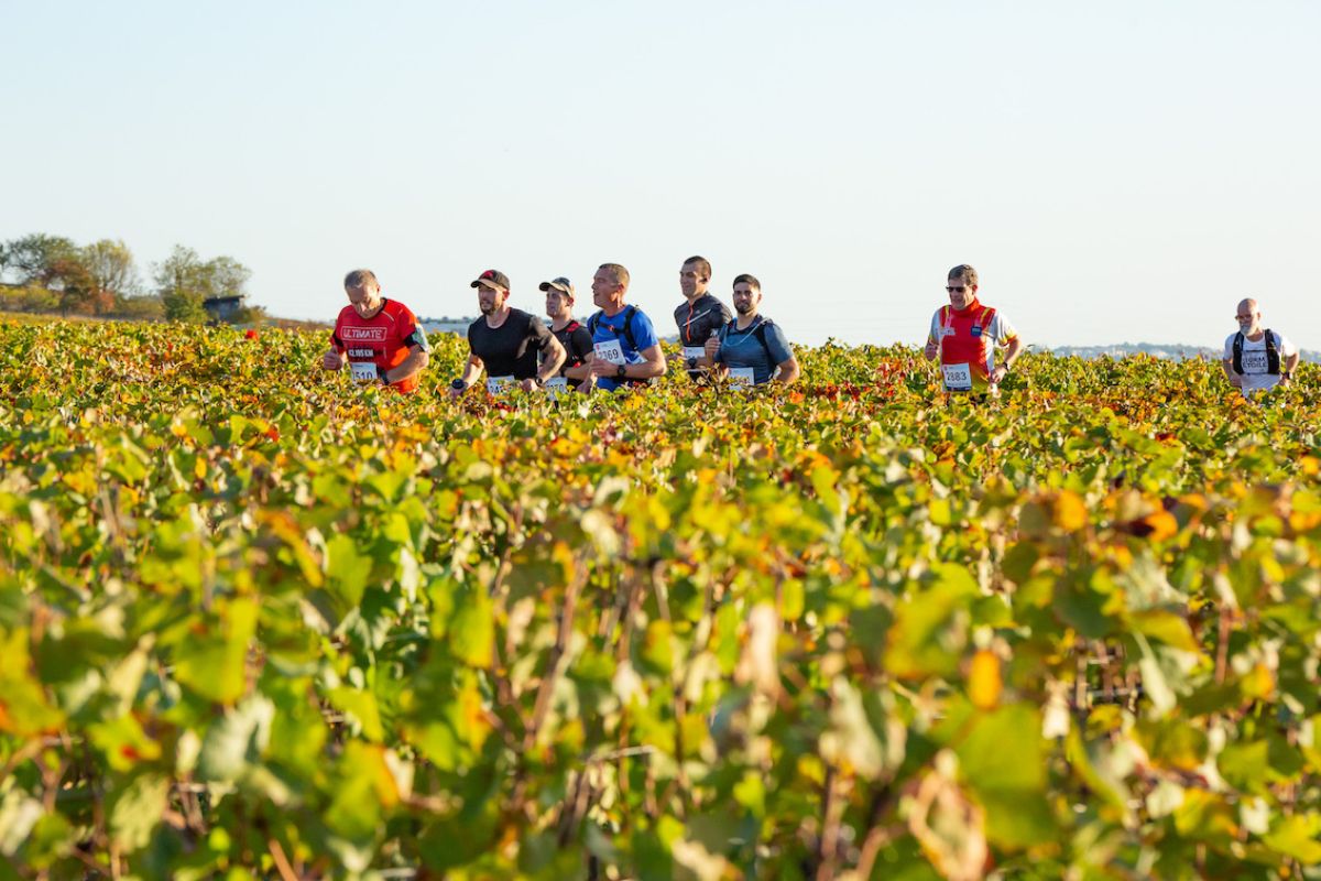 marathon grand cru 2026 live (3)