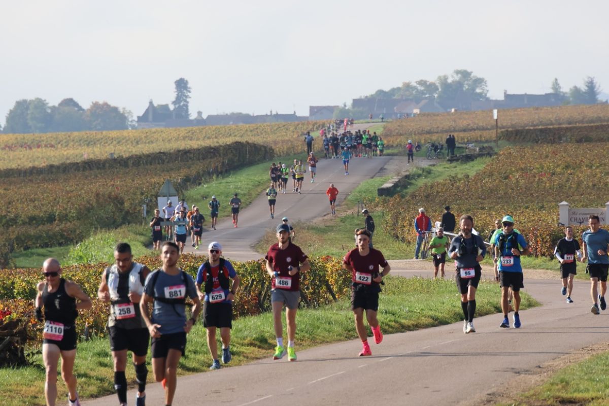 marathon grand crus 2026 live (2)