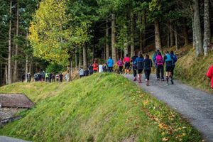 trail sapin ardeche