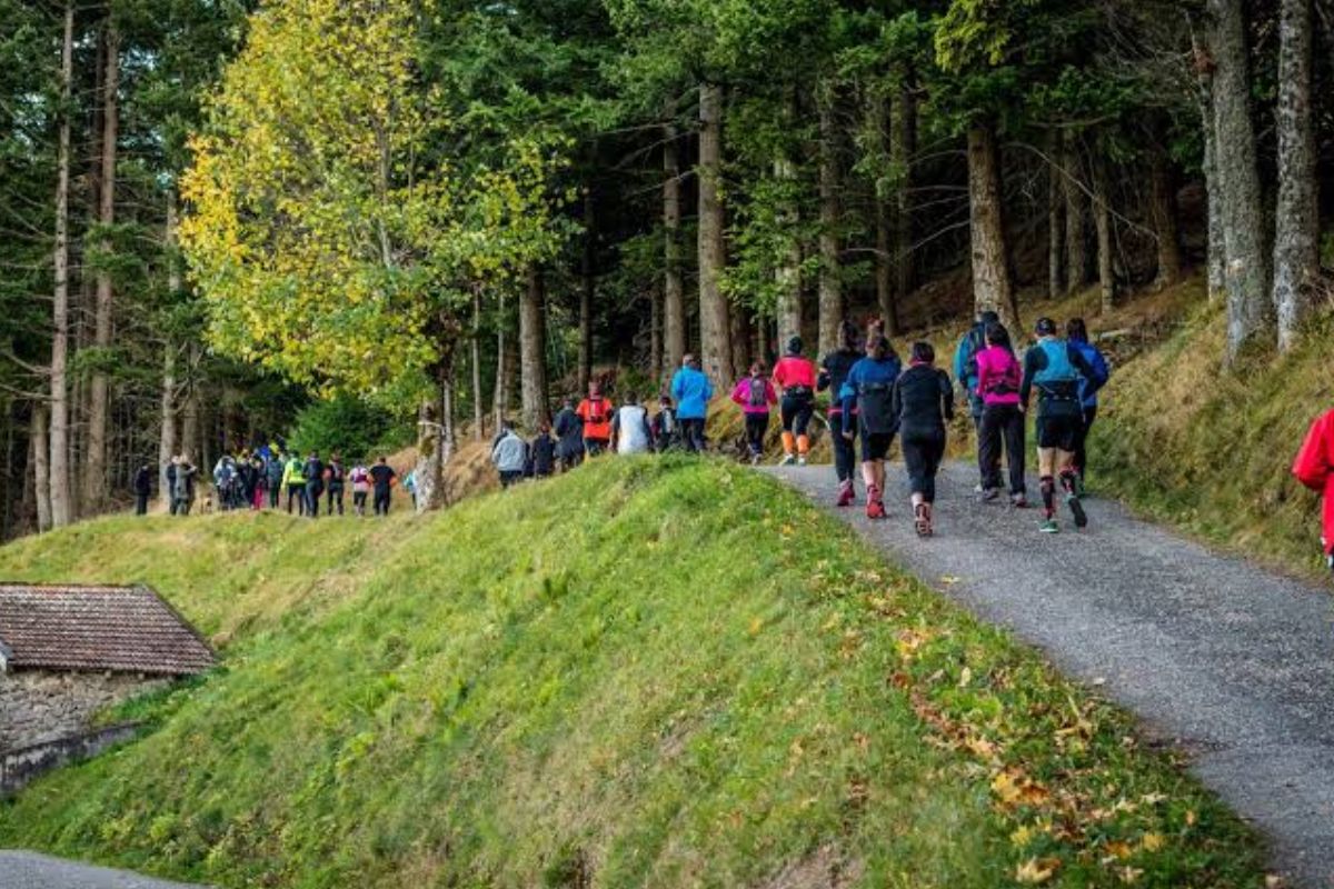 trail sapin ardeche