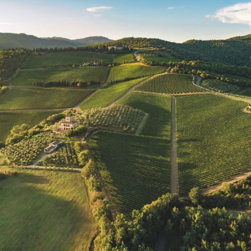 chianti trail live trail live