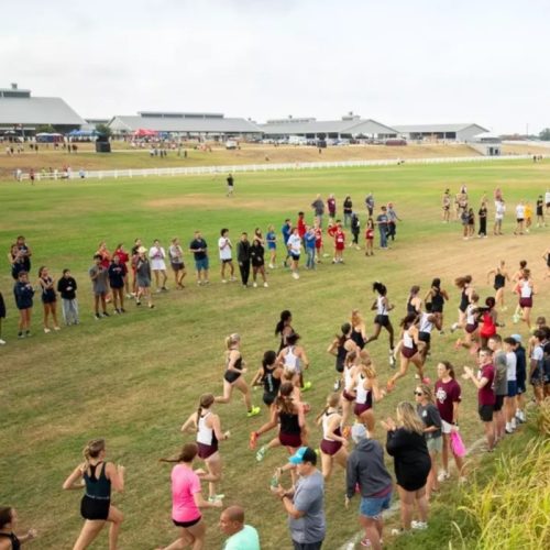 Cross d’Allonnes 2025 : Suivi coureur et Résultats