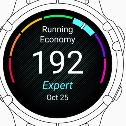 Le widget le plus cher de Garmin vaut-il vraiment son prix ? Notre verdict sans filtre