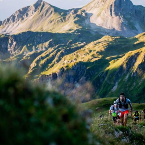 Qui sont les favoris de la TDS 2025 ?