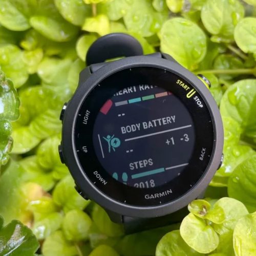 La montre GPS Garmin Forerunner 55 à 159€ au lieu de 199€ va révolutionner vos entraînements (20% de réduction)