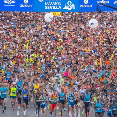 marathon seville suivi coureur (2)