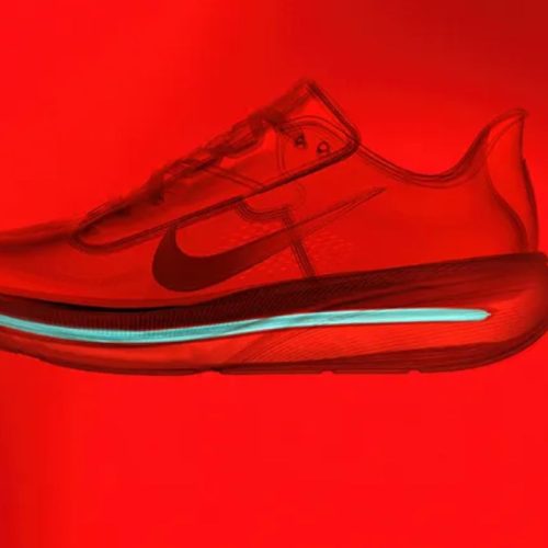 nike pegasus 42 avis (6)