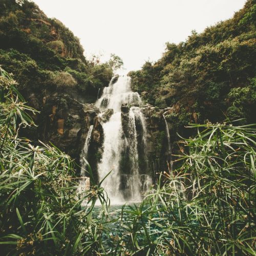 Quel est le prix d’inscription pour la Diagonale des Fous en 2025 ? 