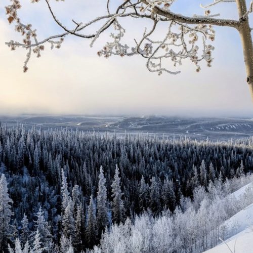 record yukon arctic ultra (1)