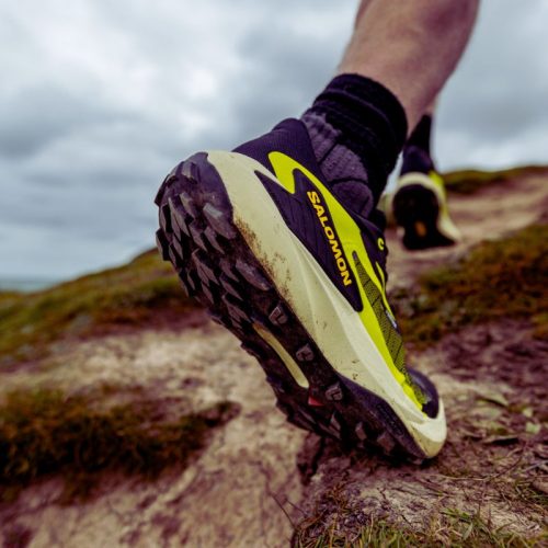 salomon genesis 2 (3)