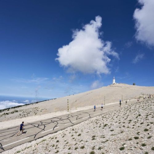 semi marathon ventoux 2026 live (2)